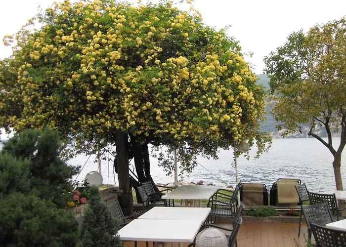 Piccolo Hotel Direkt am See